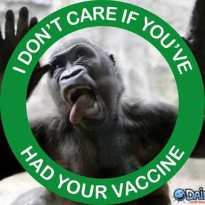 Meet your Posher, Roy